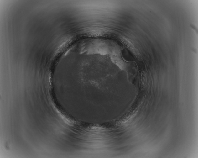 X0000097510590200803071826