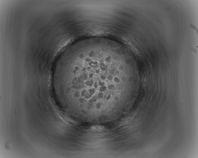 X0000097510591200803071826