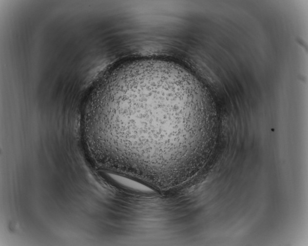 X0000097510592200803071826