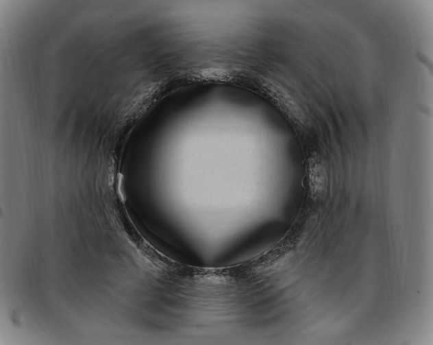 X0000097510593200803071826