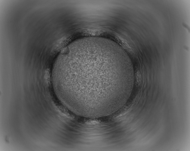 X0000097510594200803071826