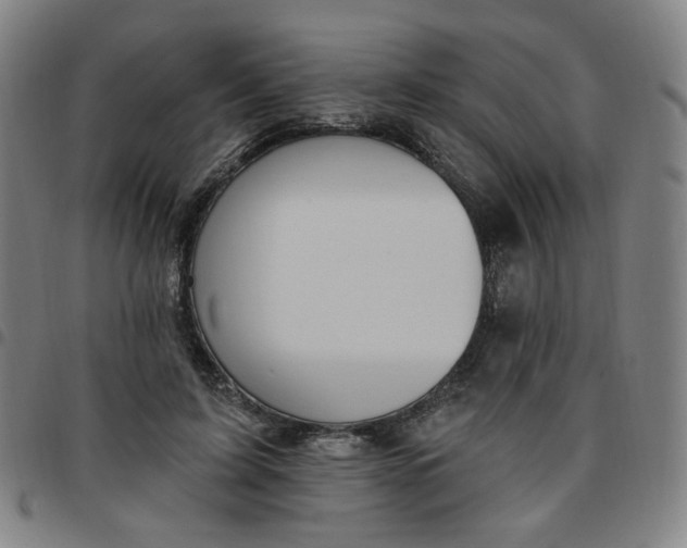 X0000097510595200803071826