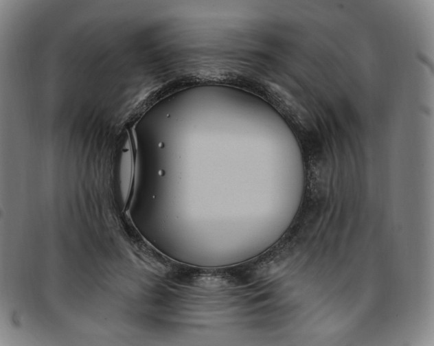 X0000097510596200803071826