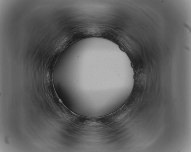 X0000097510597200803071826