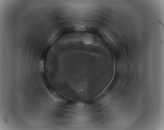 X0000097510598200803071826