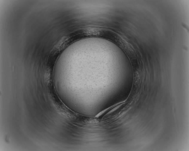 X0000097510600200803071826