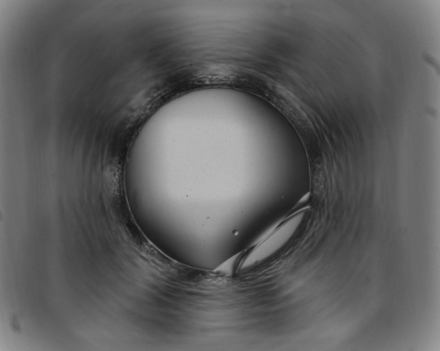 X0000097510604200803071826