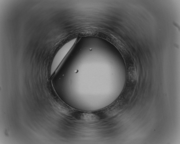 X0000097510605200803071826