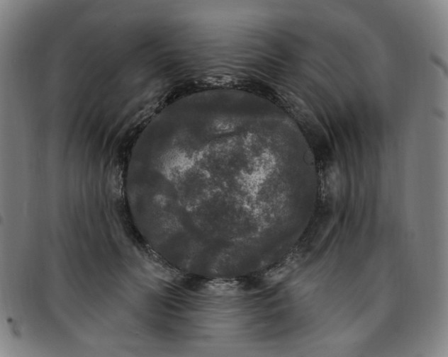 X0000097510606200803071826