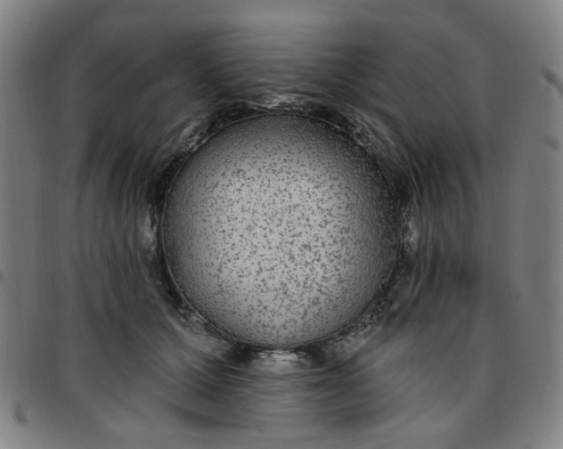 X0000097510607200803071826