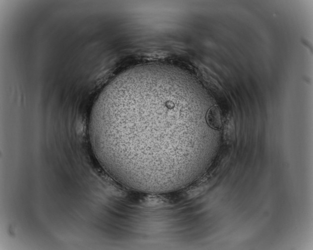 X0000097510608200803071826