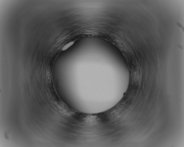 X0000097510609200803071826