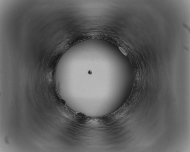 X0000097510611200803071826