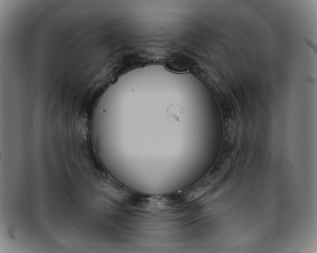 X0000097510612200803071826