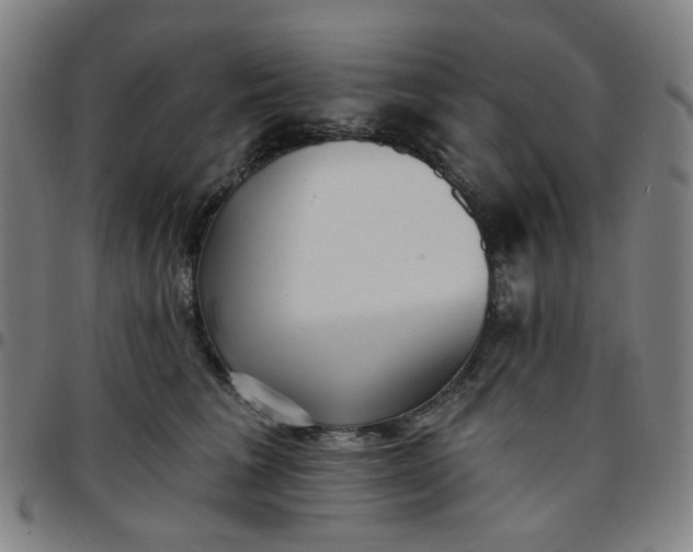 X0000097510613200803071826