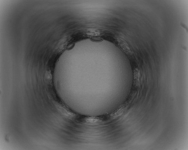 X0000097510614200803071826