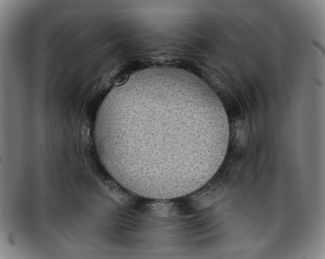 X0000097510615200803071826