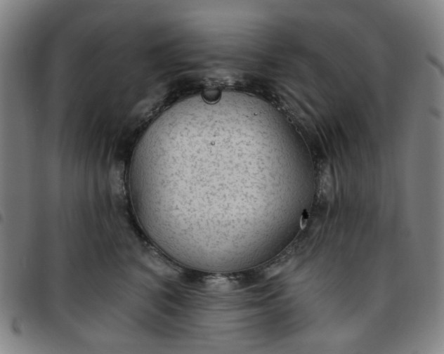 X0000097510616200803071826