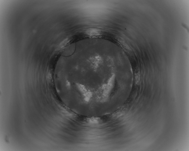 X0000097510618200803071826