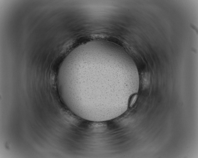 X0000097510619200803071826