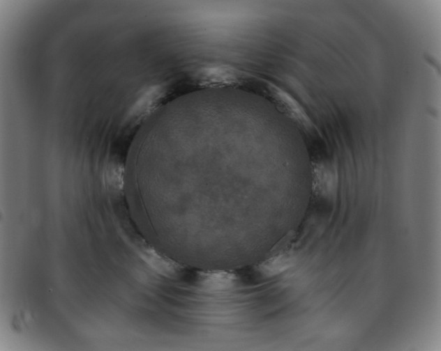 X0000097510621200803071826