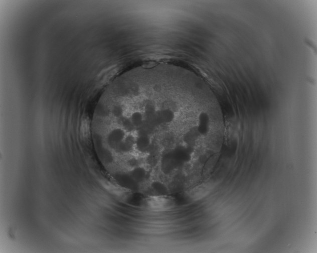 X0000097510623200803071826