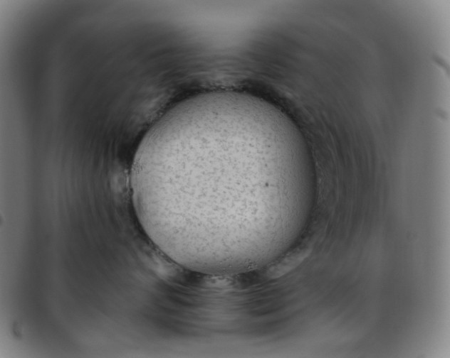 X0000097510624200803071826