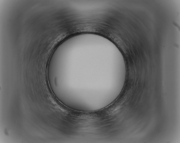 X0000097510625200803071825