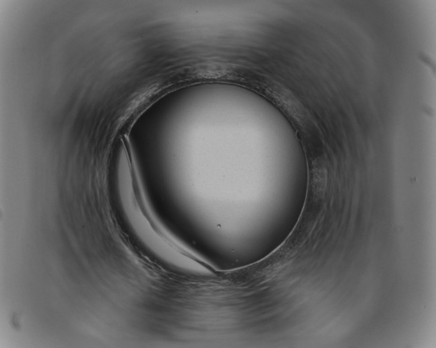 X0000097510626200803071825