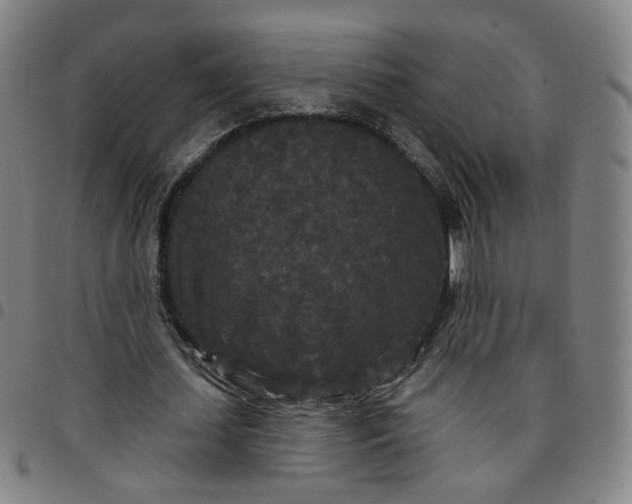 X0000097510627200803071825