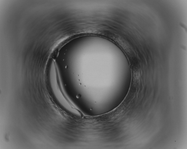 X0000097510628200803071825