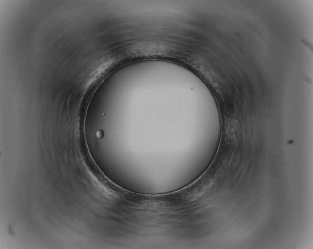 X0000097510629200803071825