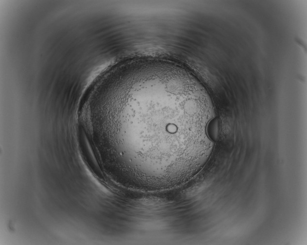 X0000097510630200803071825