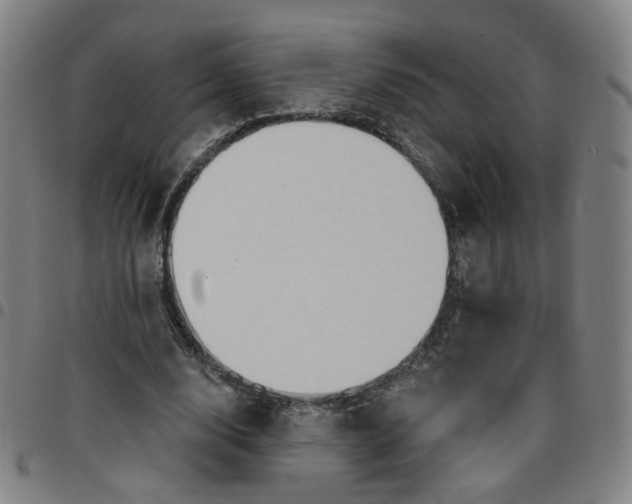 X0000097510632200803071825