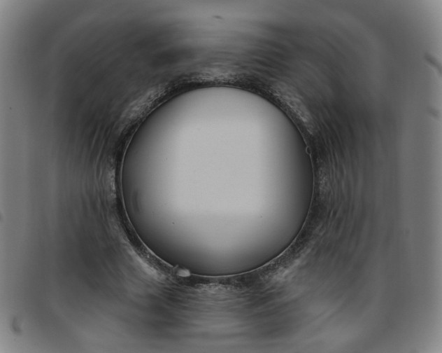 X0000097510633200803071825