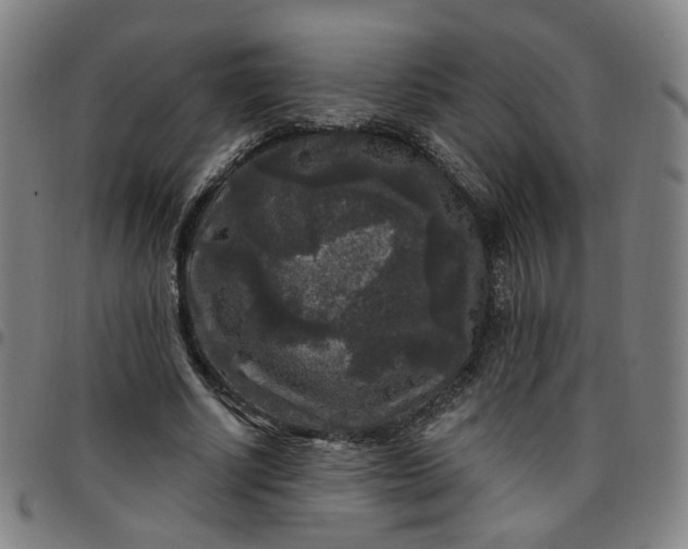 X0000097510634200803071825