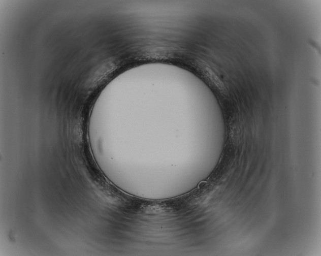 X0000097510635200803071825