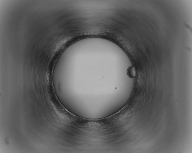 X0000097510636200803071825