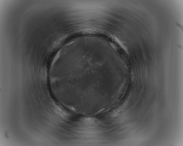 X0000097510637200803071825