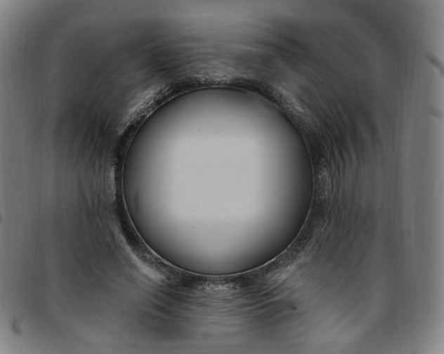 X0000097510638200803071825