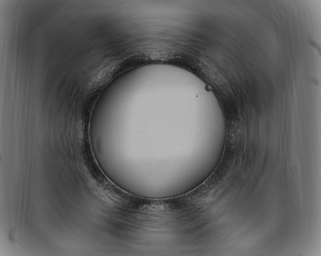 X0000097510639200803071825