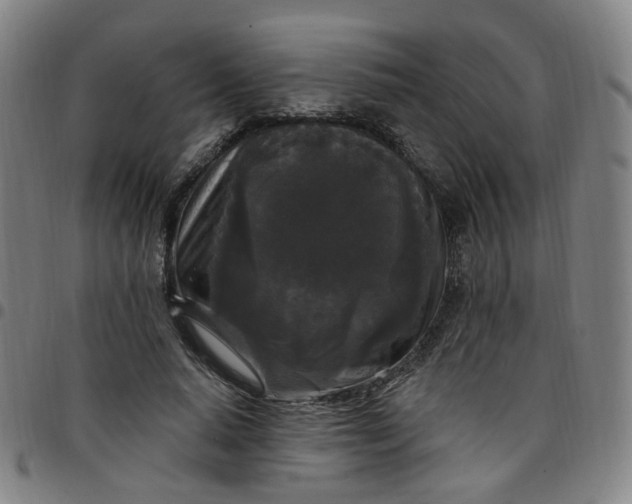 X0000097510640200803071825