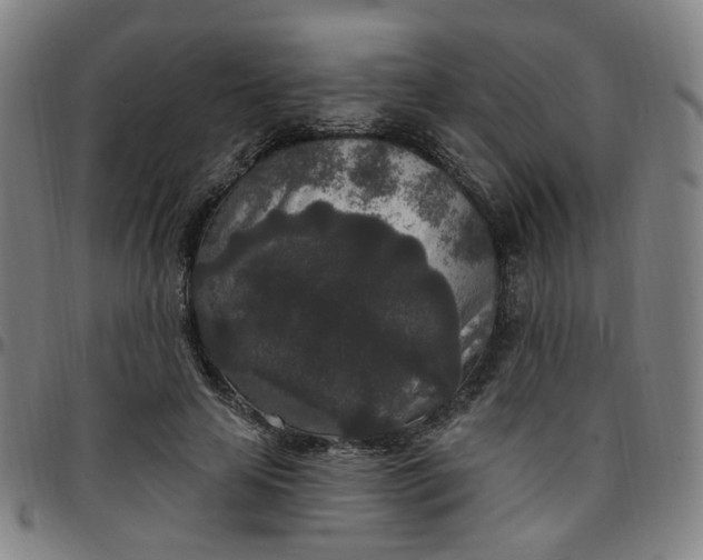 X0000097510641200803071825