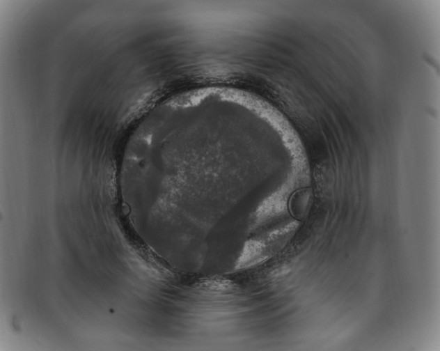 X0000097510642200803071825