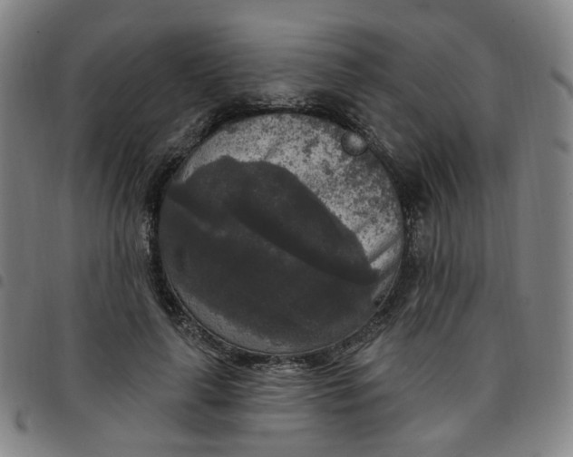 X0000097510643200803071825