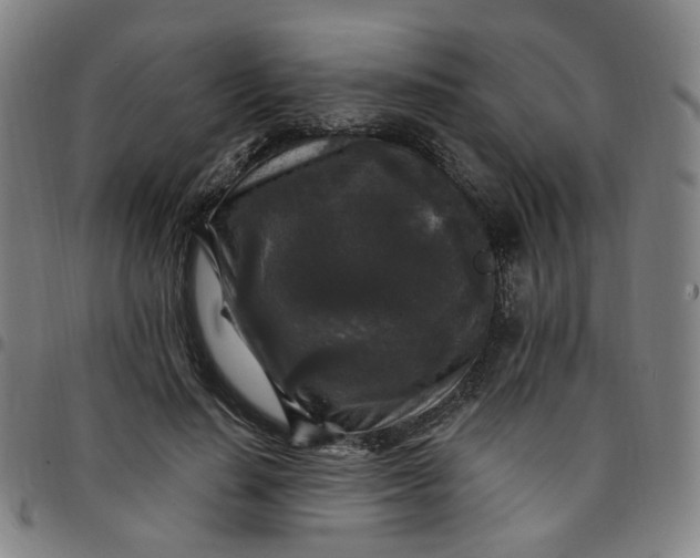 X0000097510644200803071825