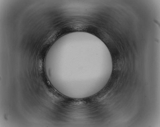 X0000097510646200803071825