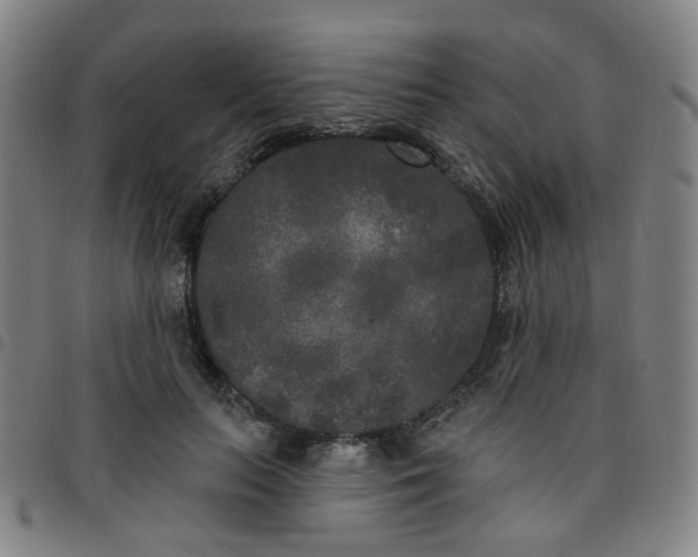 X0000097510647200803071825