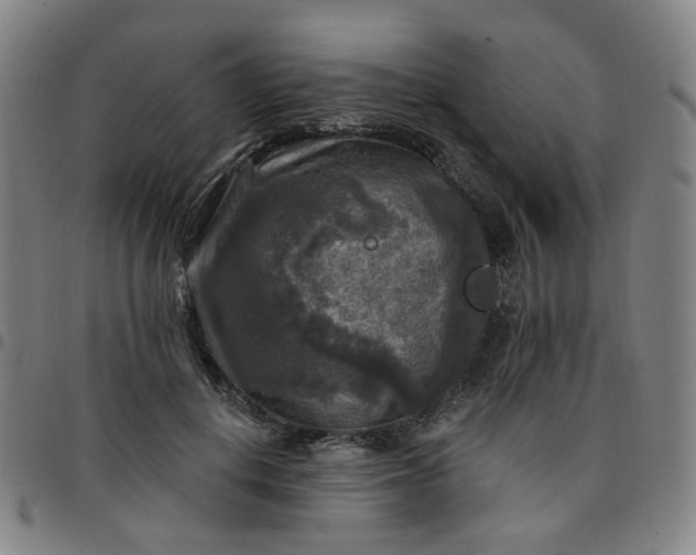 X0000097510648200803071825