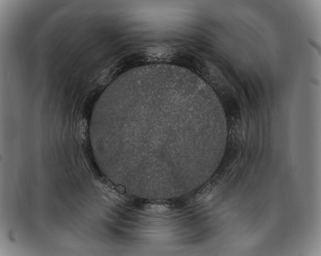 X0000097510649200803071825